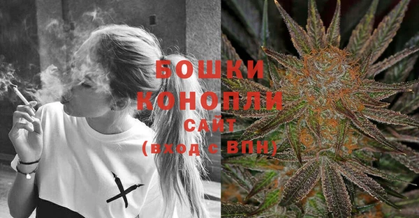 PSILOCYBIN Алексин