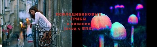 PSILOCYBIN Алексин